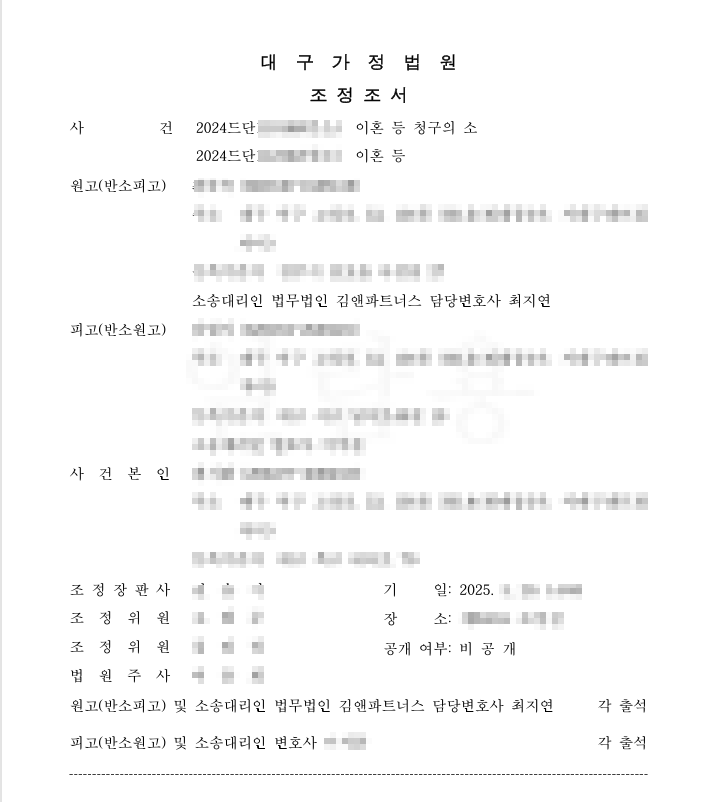 대구가장법원조정