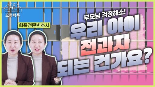 소년보호처분