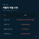 카촬죄 처벌 기준 | 촬영 버튼 안 눌러도 미수로 유죄되는 경우 대구카촬죄변호사 3 카촬죄 변호사