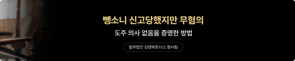뺑소니 — 도주치상 무혐의 사례