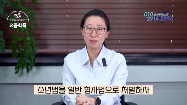 촉법소년이 정확히 몇 살일까? (촉법소년 vs 범죄소년) 관련 영상 장면