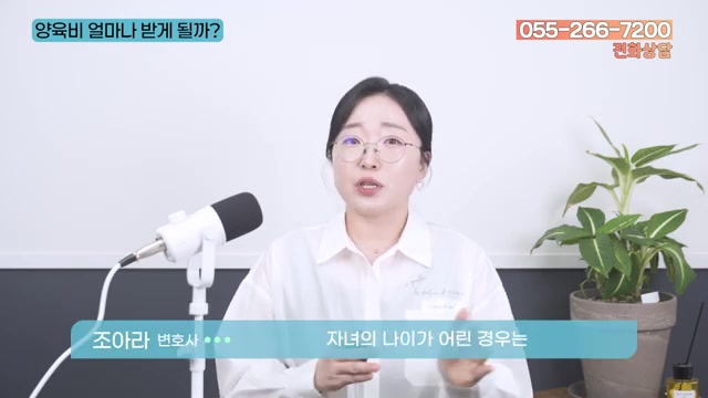 소득 말고 또 무엇이 반영될까? 단계별 양육비와 상한선 관련 영상 장면