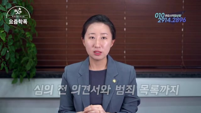 3단계: 심의 — 의견서·범죄목록과 비공개 진술 관련 영상 장면